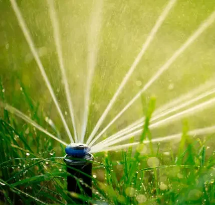 green marvel: nurturing lawns with automated watering