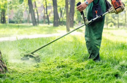 cutting grass