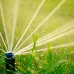 Green Marvel: Nurturing Lawns with Automated Watering aqua symphony: dance of droplets in automatic lawn irrigation
