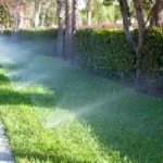 irrigation1