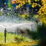 irrigation12