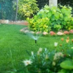 irrigation7